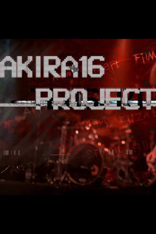 Affiche de A K I Я A 1 6